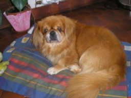 mickey_20211201_1334973758